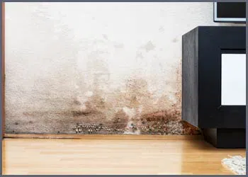 Miami Beach Restoration Company Miami Beach, FL 786-322-1044 Miami Beach Restoration Company Miami Beach, FL 786-322-1044 - mold-side