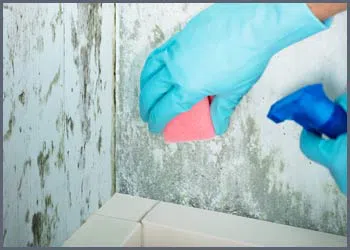 Miami Beach Restoration Company Miami Beach, FL 786-322-1044 - services-side