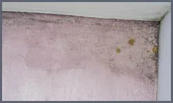 Miami Beach Restoration Company Miami Beach, FL 786-322-1044 Miami Beach Restoration Company Miami Beach, FL 786-322-1044 - water-damage-sidebar