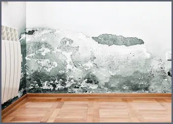 Miami Beach Restoration Company Miami Beach, FL 786-322-1044 Miami Beach Restoration Company Miami Beach, FL 786-322-1044 - water-leaks-side